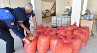 Kepez’de 1,5 ton patates imha edildi