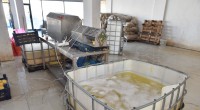 Kepez’de 1,5 ton patates imha edildi