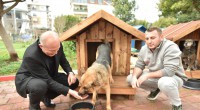 Kepez’de sokak hayvanlarına sıcacık yuvalar