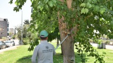 Sokaklardaki ‘Metruk’ Tehlikeye İnce Temizlik:  Kepez Belediyesi’nden uyuşturucu sığınaklarına karşı operasyon 
