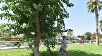 Sokaklardaki ‘Metruk’ Tehlikeye İnce Temizlik: Kepez Belediyesi’nden uyuşturucu sığınaklarına karşı operasyon