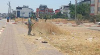 Kocagöz; “Ormanları korumak hepimizin ortak sorumluluğu”
