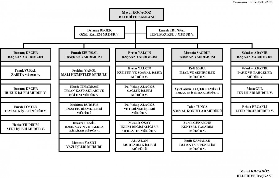 Organizasyon Şeması